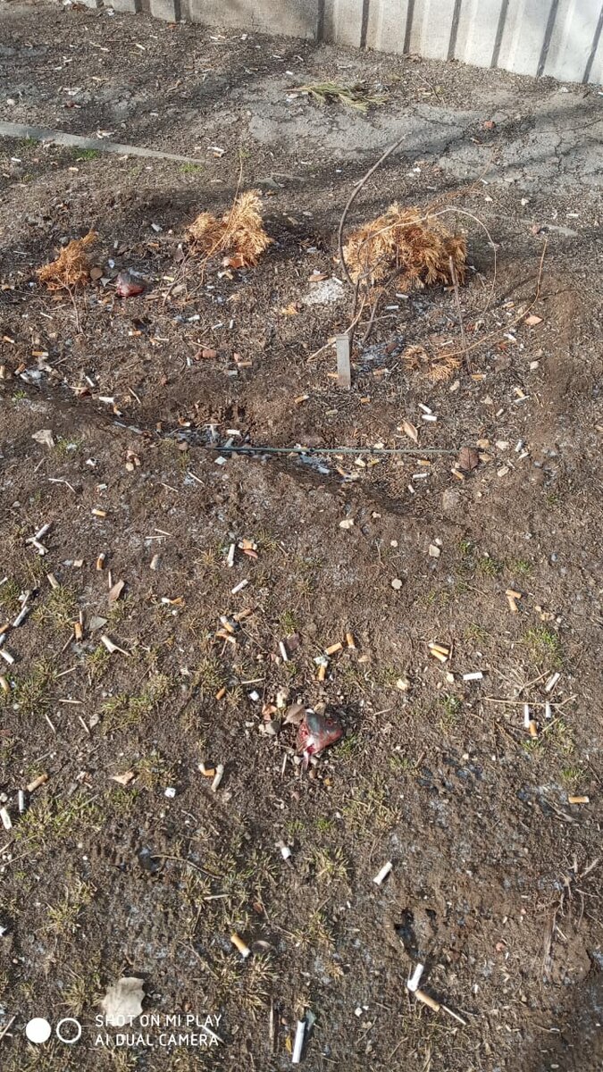 Под ее окнами валяются сотни окурков,а теперь ещё и головы рыбьи вместе с потрохами кто- то стал сверху сбрасывать ей под окно.