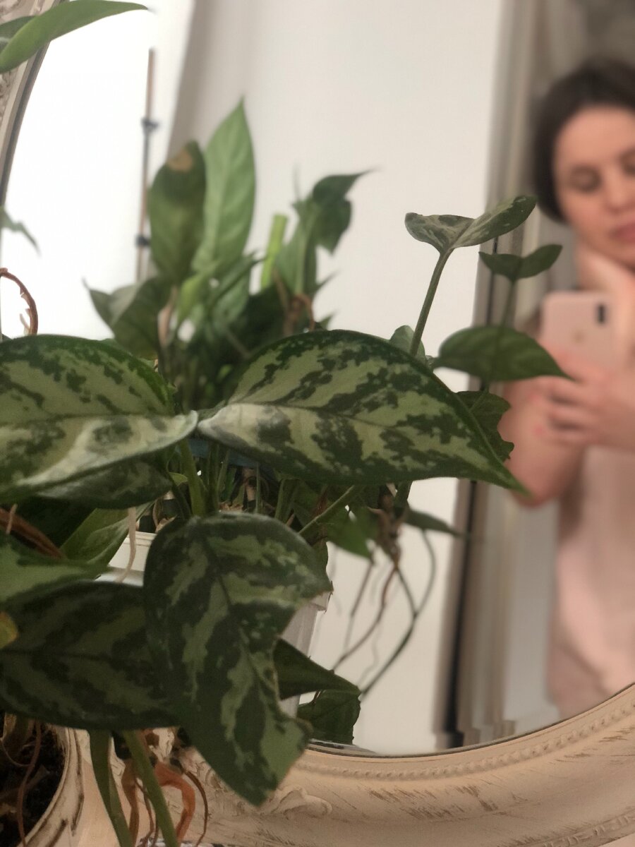 Еще один будний день. Фото автора