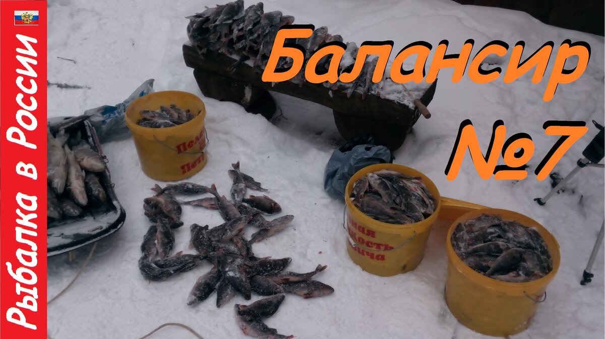 Много окуня зимой не бывает ! Ловля хорошего окуня на балансир Rapala -  жаба | Рыбалка в России | Дзен