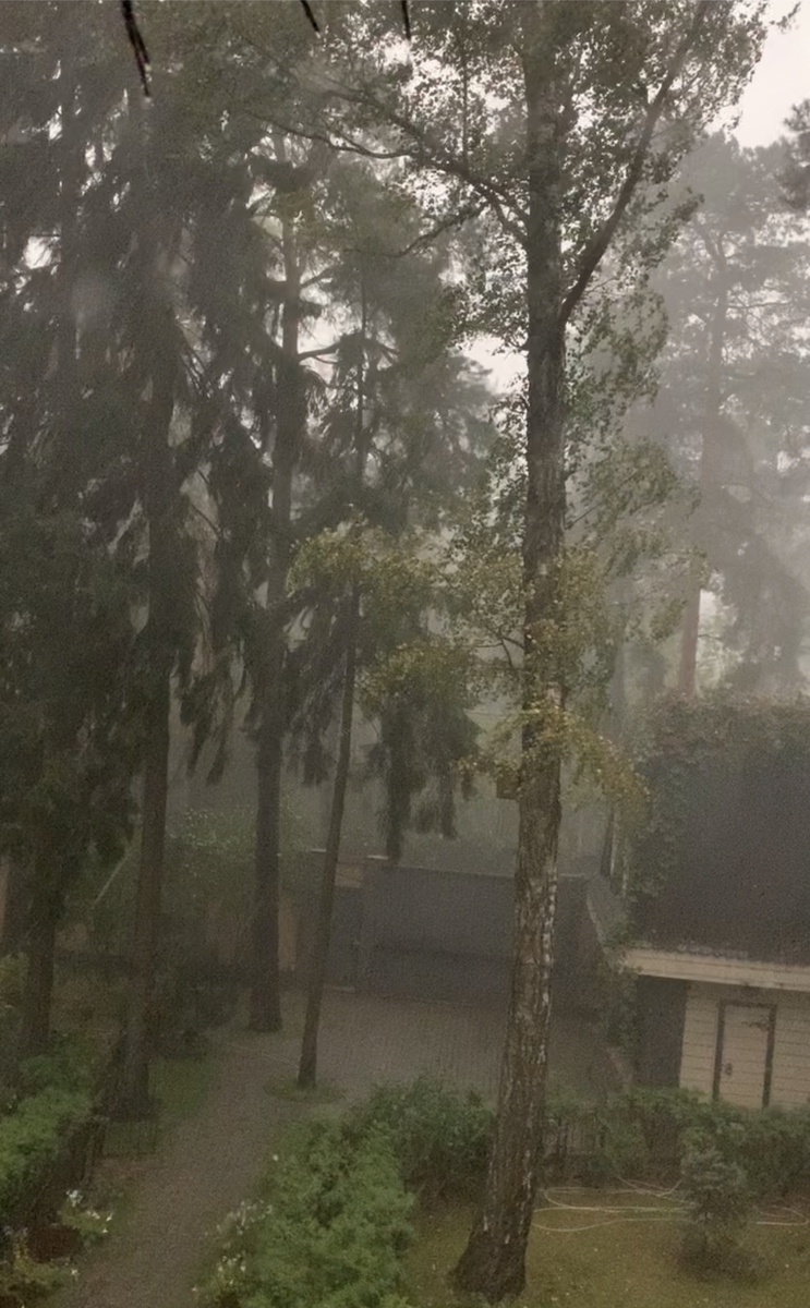 Дождю все равно.