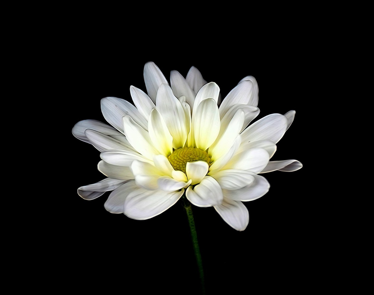 Картинки из интернета