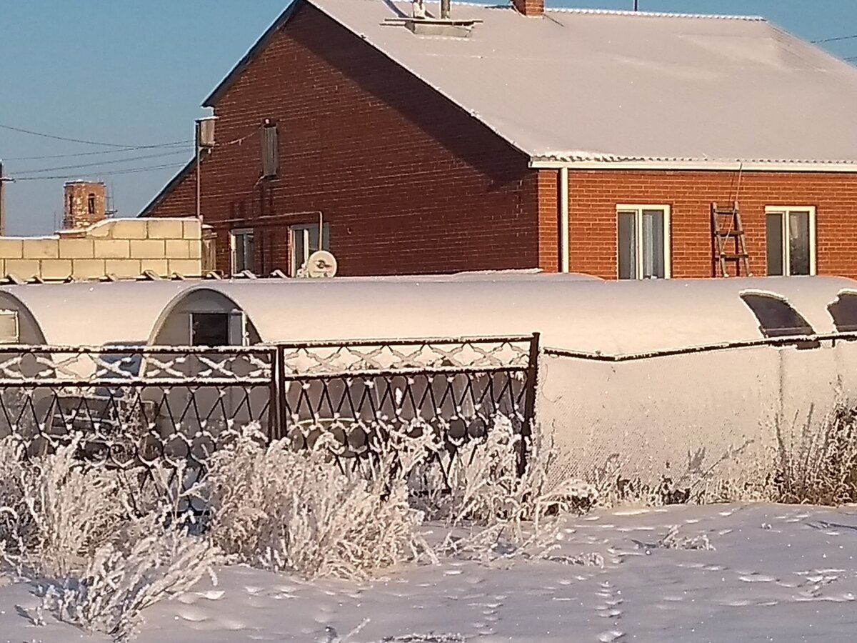 Фото автора. 2 теплицы по 8 метров - это я погорячился определённо.