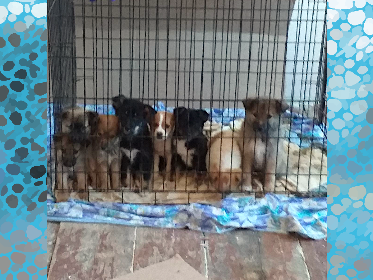 Здесь и далее фото автора