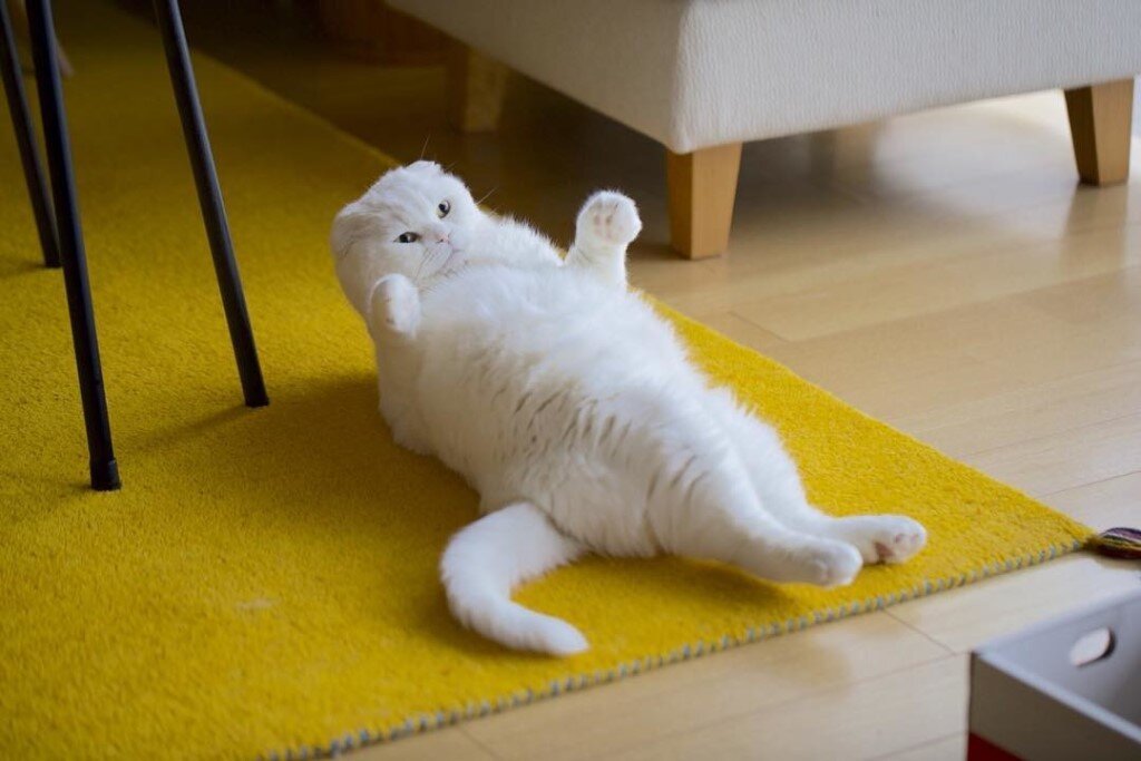 Фотография из открытых источников