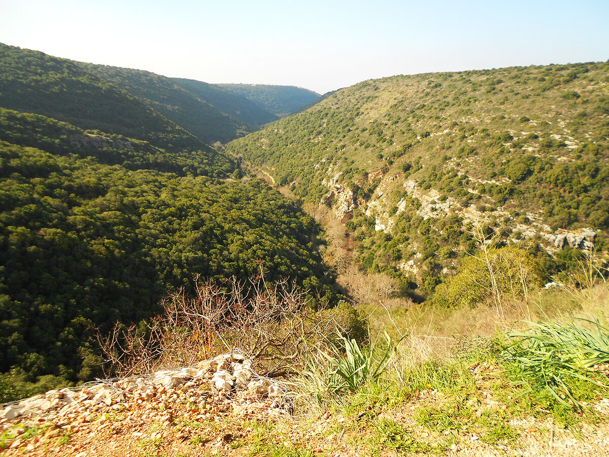 Где-то в этих лесах и горах затерялся Монфор.