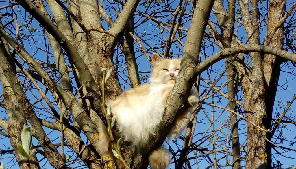 фото из Интернета