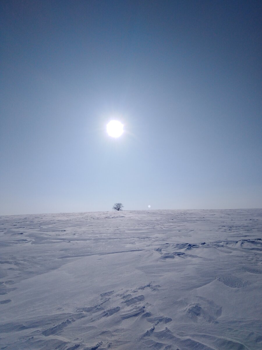 Мороз и день чудесный