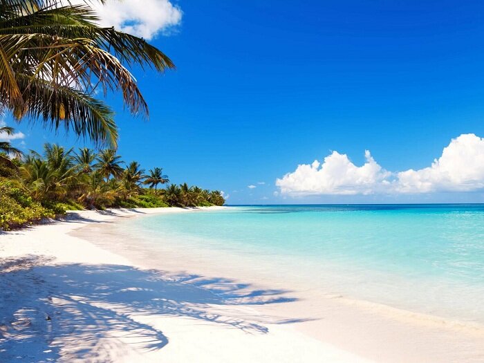 Сайт: Интересная планета за окном; https://ikctur.ru/