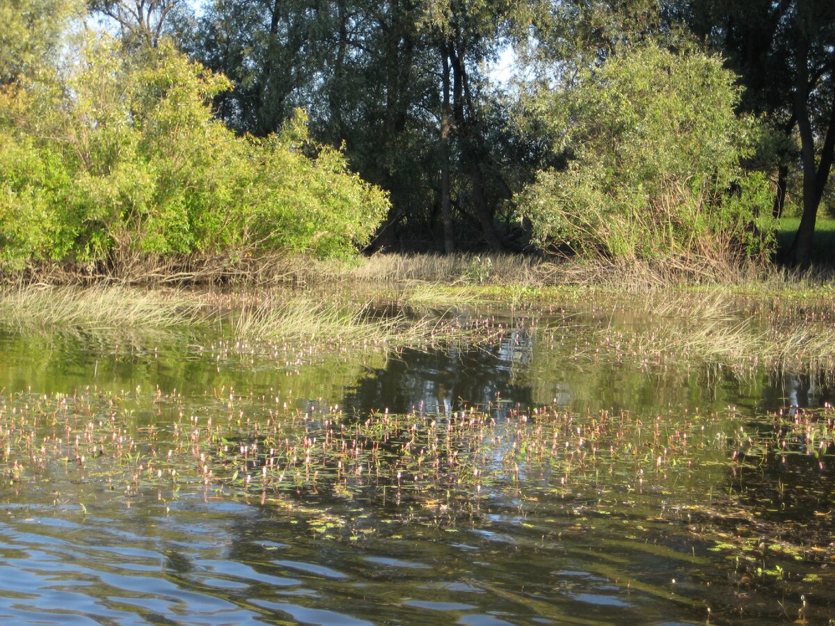 Блёснами незацепляйками можно ловить в любых труднодоступных местах. Фото автора.