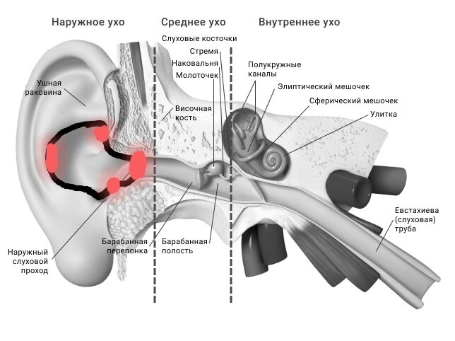 Картинка с сайта sluh.by