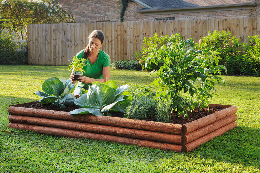 фото из яндекс картинок