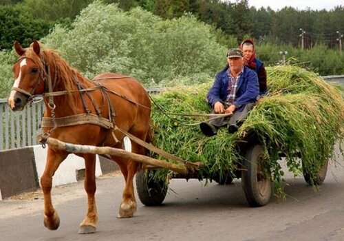 Фото найдено в интернете