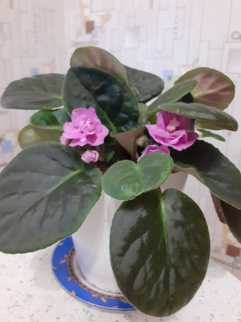 Моя собеседница