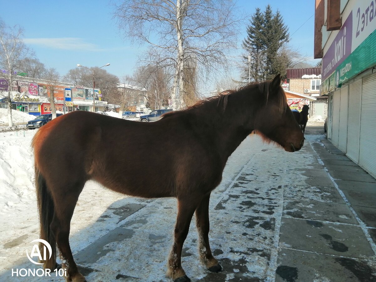 Фото из личного архива) 