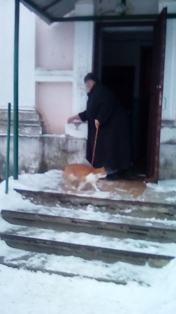 Наш городок. У подьезда