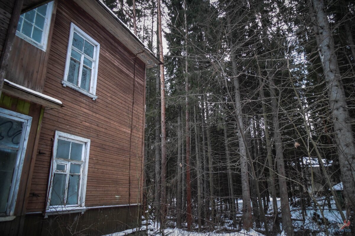 Территория заброшенного детского лагеря. 