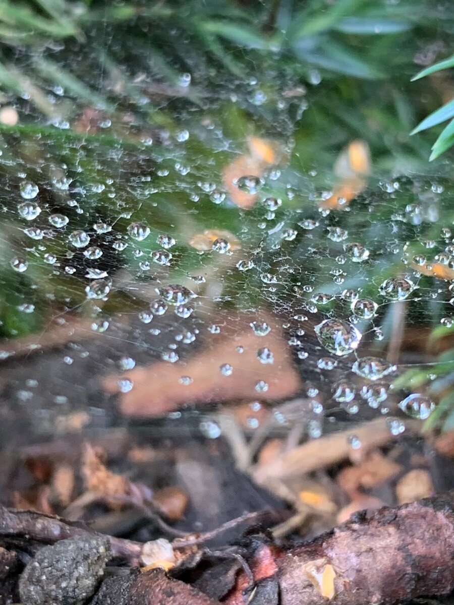 Снова гроза, капли летят.