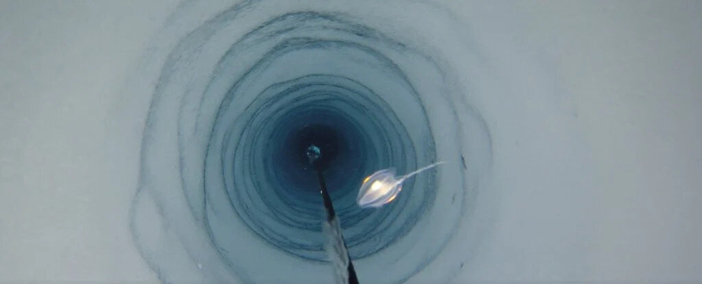 Воды под Антарктидой - одна из самых негостеприимных сред на нашей планете - по крайней мере, мы так думали.