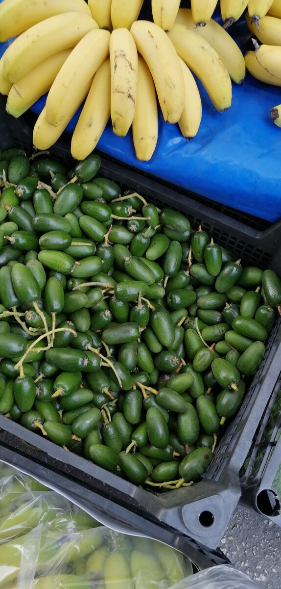 Мини авокадо. 