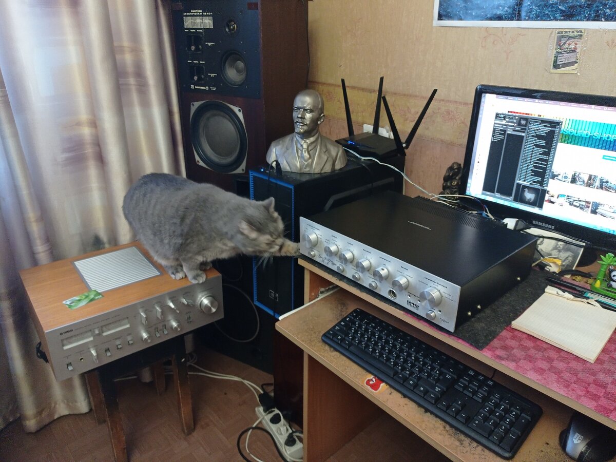 Василич пошёл проверять Бриг 