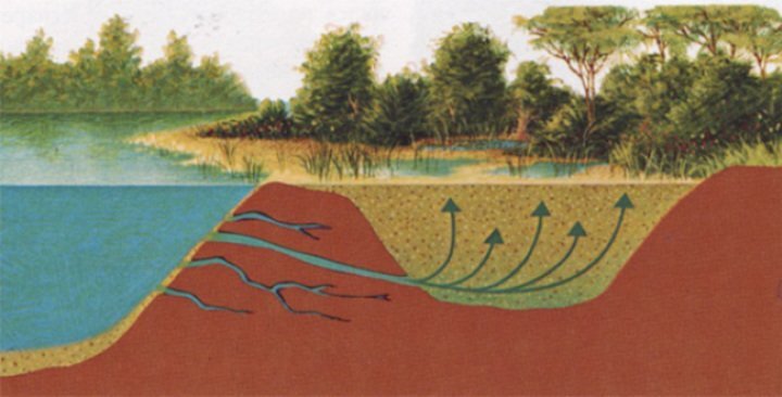 ( фото взято из открытых источников )