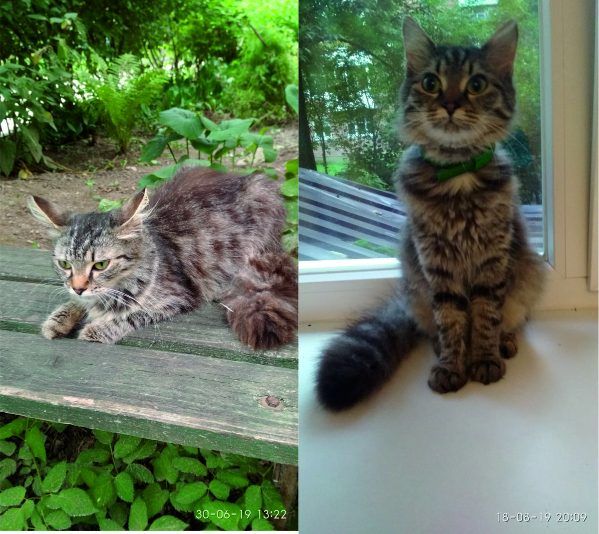 Фотографии прислала Ирина Самусенкова