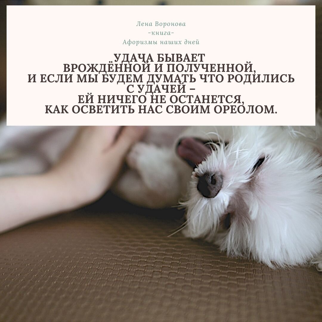 мысль из книги Афоризмы наших дней. Лена Воронова