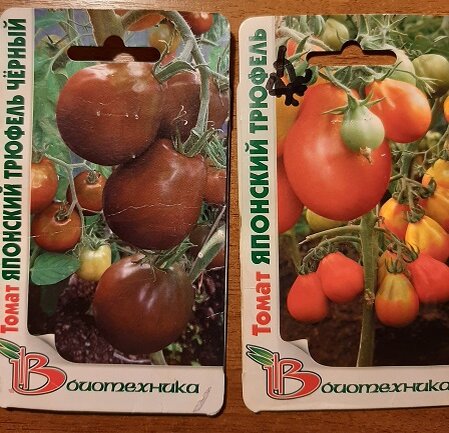 С этими томатами я всегда с богатым урожаем.