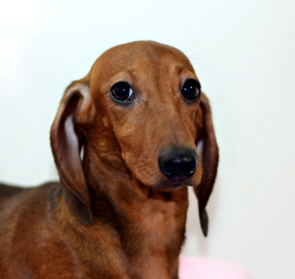 Картинка из сети интернет для иллюстрации