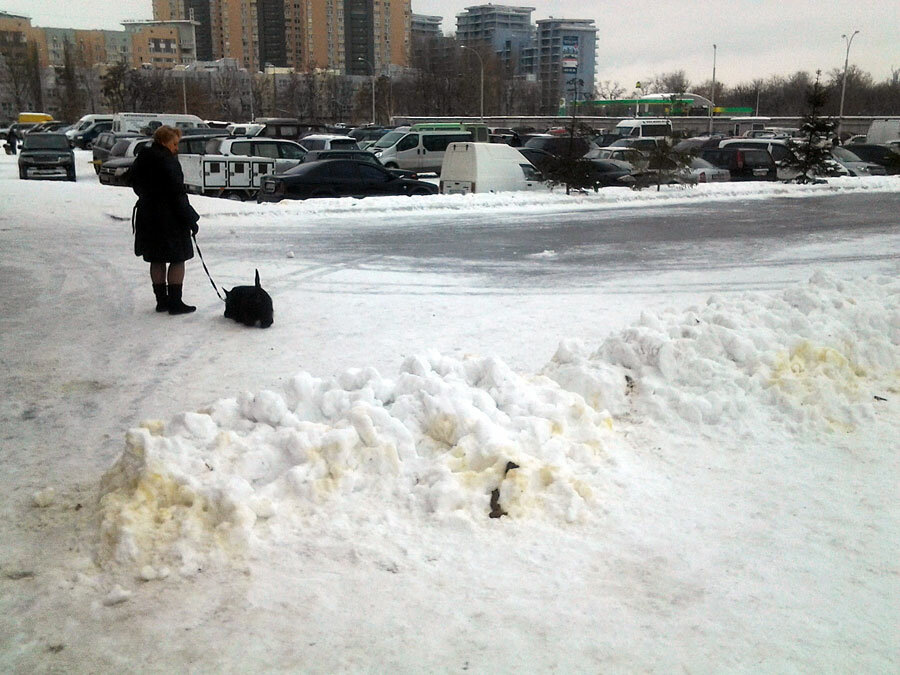 Фото из интернета