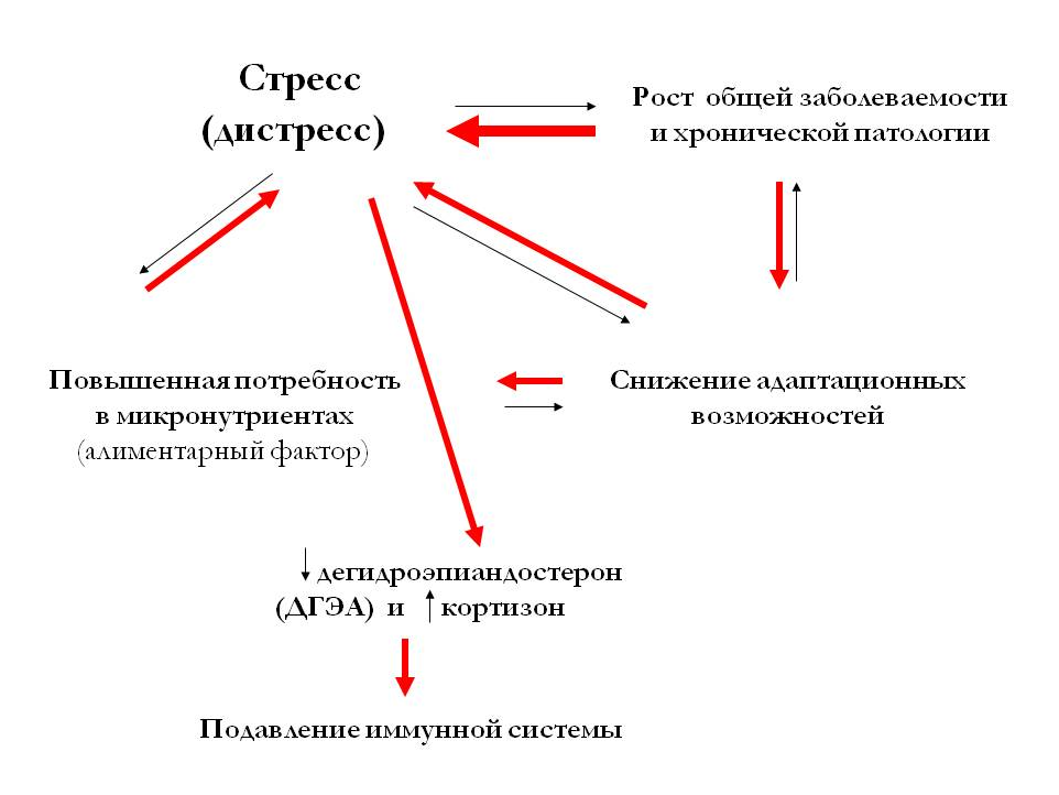 Схема, показывает воздействия стресса, и обратный механизм благоприятного воздействия дистресса.