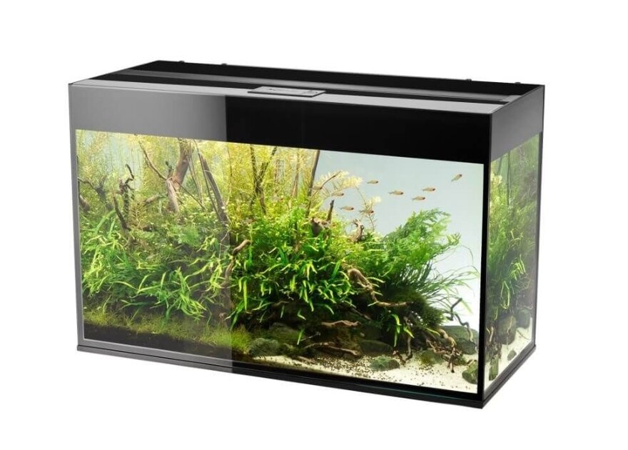 AQUAEL Glossy 80