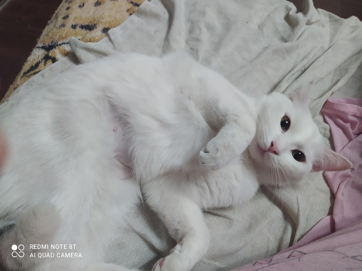 Алиса, 10 месяцев)))) 