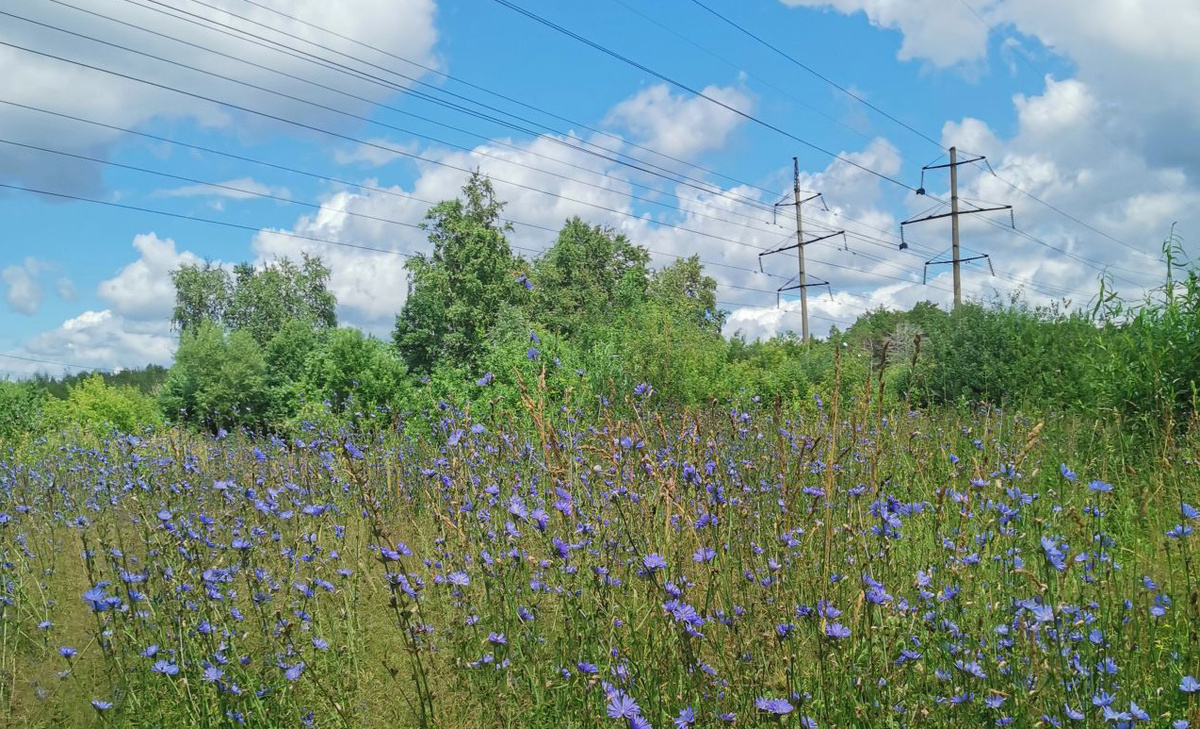 А наша природа хороша во все времена