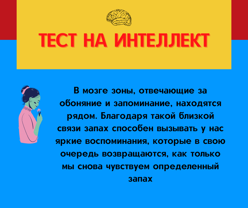 Тест на интеллект: 15 сложных вопросов обо всем, которые помогут вам проявить свои знания