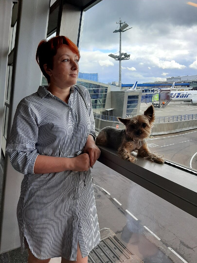 ✈️Путешествие с собакой на самолете