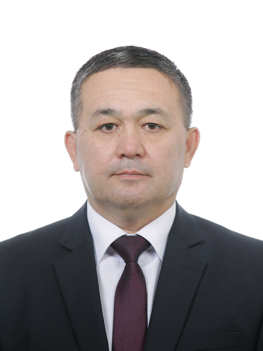 Член Международного  Научного Совета Редакционного Комитета  Международного научного журнала "Альтернативная энергетика и экология", доцент, доктор физико-математических наук Рахматуллаев Илёс Арзимуродович. 
