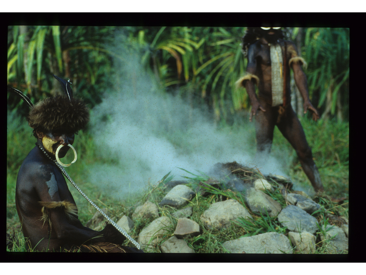 Папуа Новая Гвинея. Каннибалы Ириан-Джаи. «Колыбельные цивилизации планеты. Асматы. Дани. Лани» 