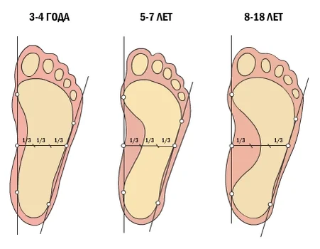 Возрастные нормы стоп у детей