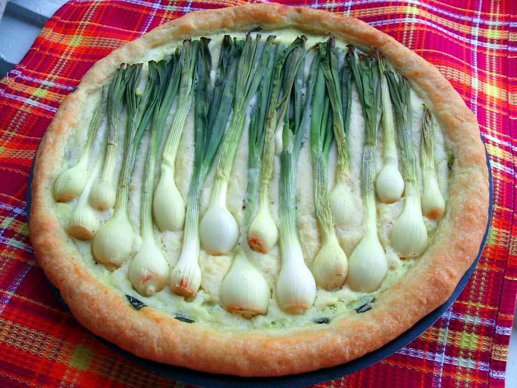 Комбо! (Хотя я репчатый лук представляла)