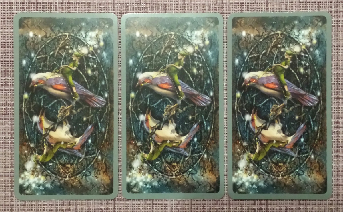 Выбор варианта: 1, 2, 3