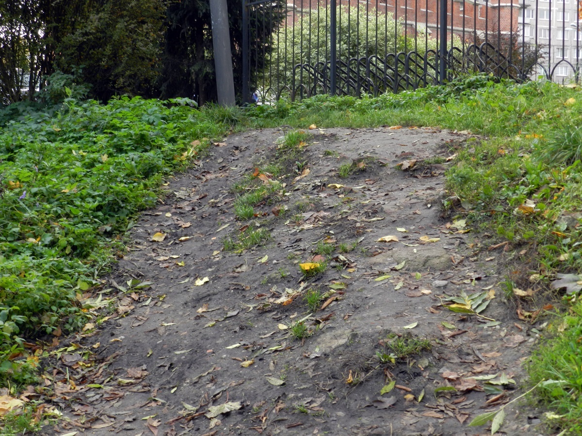 А это стресс! фото автора