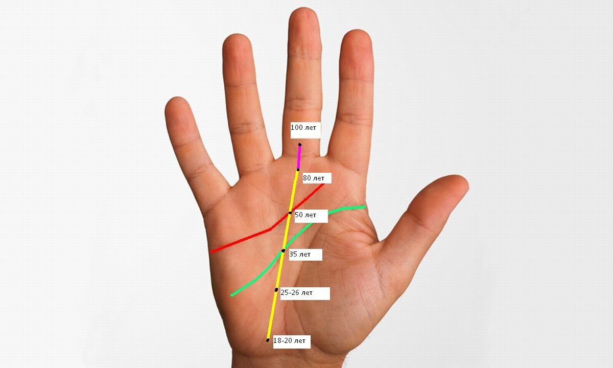 Как определить возраст на линии судьбы. Хиромантия. | Исцели себя сам | Дзен