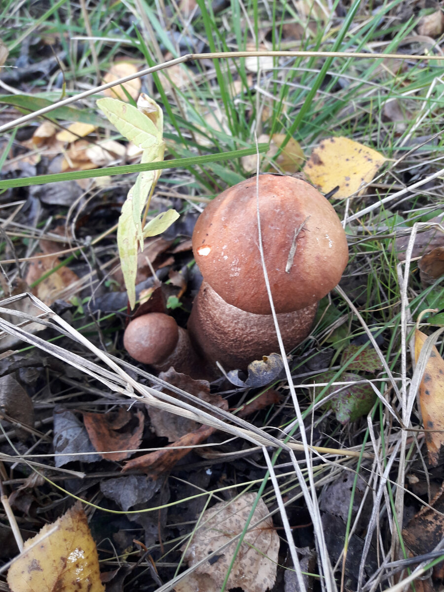 Фото автора канала