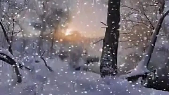 снег летит кружит. снег кружится. снег кружится летает заметает. снег кружится. снежок кружится.