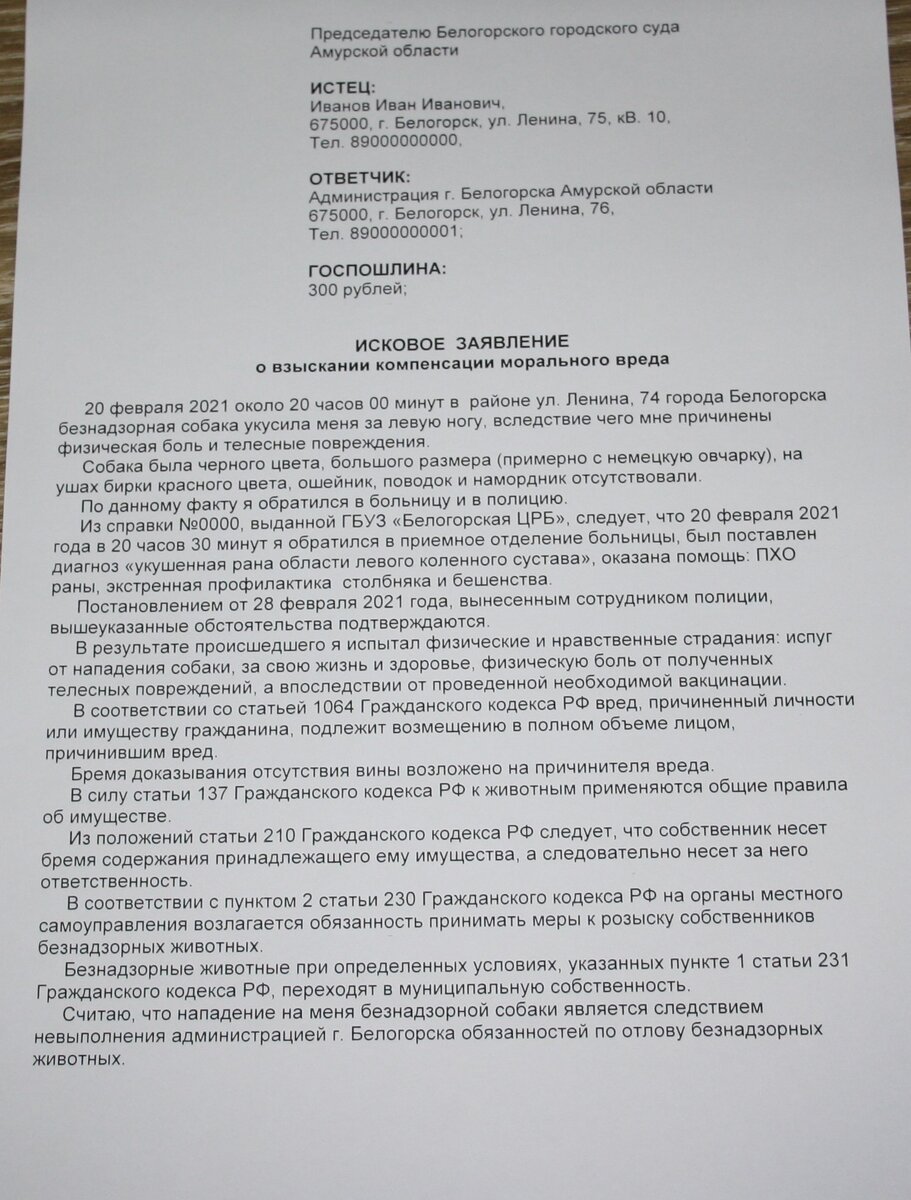 Примерный образец искового заявления о взыскании компенсации морального вреда к администрации (в случае, если собака безнадзорная)