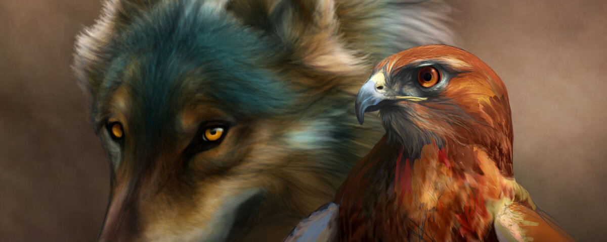 фото из интернета