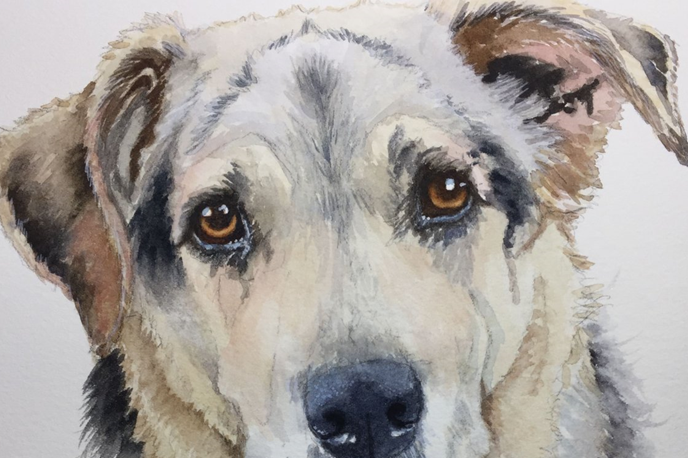 Акварель. Рисунок из свободных источников интернета.