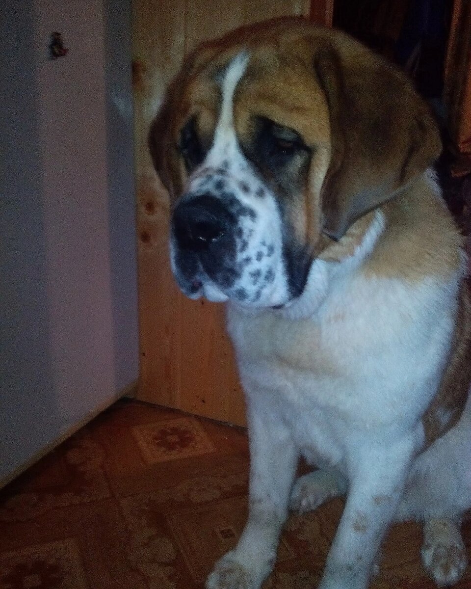 Мечтала о нём несколько месяцев, и мечта осуществилась     