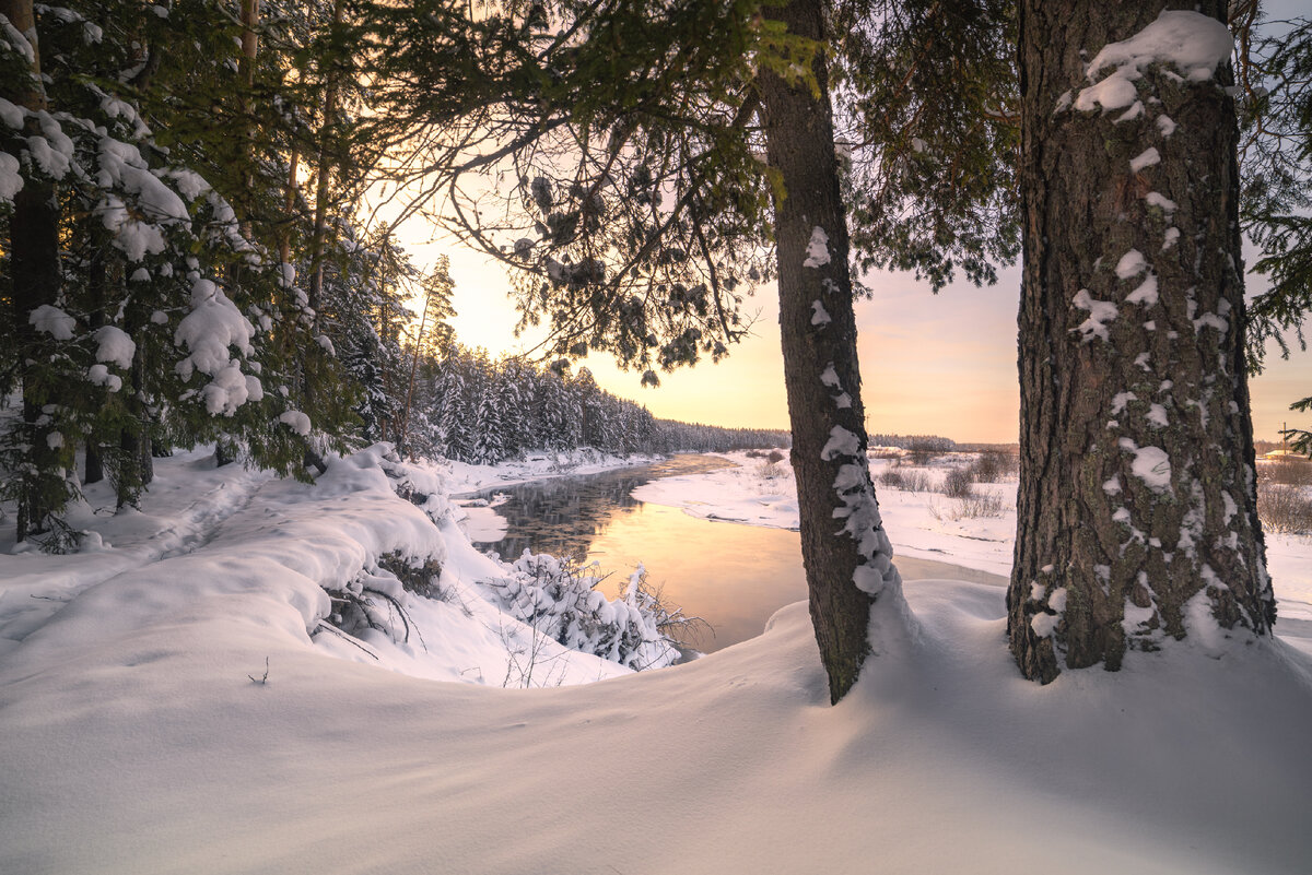 Рп5 белая холуница кировская область. Рп5 белая холуница кировская область. Пожар в белой холунице. Белая-холуница. Фестиваль железа в белой холунице в 2022.